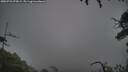 ./images/calvert/fitz-hugh-hecate/20250723/fitz-hugh-hecate20250723_075009M.jpg