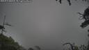 ./images/calvert/fitz-hugh-hecate/20250723/fitz-hugh-hecate20250723_080509M.jpg