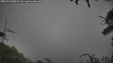 ./images/calvert/fitz-hugh-hecate/20250723/fitz-hugh-hecate20250723_082009M.jpg