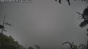 ./images/calvert/fitz-hugh-hecate/20250723/fitz-hugh-hecate20250723_082510M.jpg