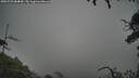 ./images/calvert/fitz-hugh-hecate/20250723/fitz-hugh-hecate20250723_084010M.jpg