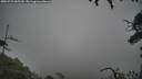 ./images/calvert/fitz-hugh-hecate/20250723/fitz-hugh-hecate20250723_085510M.jpg