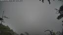 ./images/calvert/fitz-hugh-hecate/20250723/fitz-hugh-hecate20250723_090008M.jpg