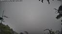 ./images/calvert/fitz-hugh-hecate/20250723/fitz-hugh-hecate20250723_100510M.jpg
