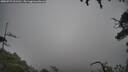 ./images/calvert/fitz-hugh-hecate/20250723/fitz-hugh-hecate20250723_101510M.jpg