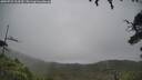 ./images/calvert/fitz-hugh-hecate/20250723/fitz-hugh-hecate20250723_104510M.jpg