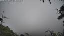 ./images/calvert/fitz-hugh-hecate/20250723/fitz-hugh-hecate20250723_105510M.jpg
