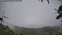 ./images/calvert/fitz-hugh-hecate/20250723/fitz-hugh-hecate20250723_121510M.jpg