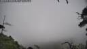 ./images/calvert/fitz-hugh-hecate/20250723/fitz-hugh-hecate20250723_141007M.jpg