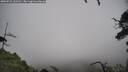 ./images/calvert/fitz-hugh-hecate/20250723/fitz-hugh-hecate20250723_141510M.jpg