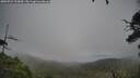 ./images/calvert/fitz-hugh-hecate/20250723/fitz-hugh-hecate20250723_153010M.jpg