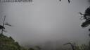 ./images/calvert/fitz-hugh-hecate/20250723/fitz-hugh-hecate20250723_153510M.jpg