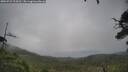./images/calvert/fitz-hugh-hecate/20250723/fitz-hugh-hecate20250723_154510M.jpg