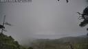 ./images/calvert/fitz-hugh-hecate/20250723/fitz-hugh-hecate20250723_155510M.jpg