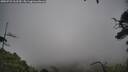 ./images/calvert/fitz-hugh-hecate/20250723/fitz-hugh-hecate20250723_162509M.jpg