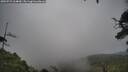 ./images/calvert/fitz-hugh-hecate/20250723/fitz-hugh-hecate20250723_164009M.jpg