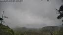 ./images/calvert/fitz-hugh-hecate/20250723/fitz-hugh-hecate20250723_165510M.jpg