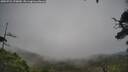 ./images/calvert/fitz-hugh-hecate/20250723/fitz-hugh-hecate20250723_170010M.jpg