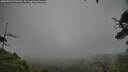 ./images/calvert/fitz-hugh-hecate/20250723/fitz-hugh-hecate20250723_171510M.jpg