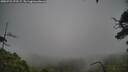 ./images/calvert/fitz-hugh-hecate/20250723/fitz-hugh-hecate20250723_173507M.jpg