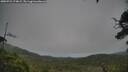 ./images/calvert/fitz-hugh-hecate/20250723/fitz-hugh-hecate20250723_174009M.jpg