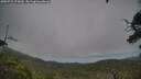 ./images/calvert/fitz-hugh-hecate/20250723/fitz-hugh-hecate20250723_175010M.jpg