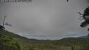 ./images/calvert/fitz-hugh-hecate/20250723/fitz-hugh-hecate20250723_180509M.jpg