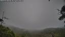 ./images/calvert/fitz-hugh-hecate/20250723/fitz-hugh-hecate20250723_181510M.jpg