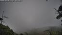 ./images/calvert/fitz-hugh-hecate/20250723/fitz-hugh-hecate20250723_182509M.jpg