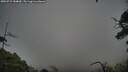 ./images/calvert/fitz-hugh-hecate/20250723/fitz-hugh-hecate20250723_184010M.jpg