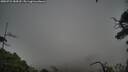 ./images/calvert/fitz-hugh-hecate/20250723/fitz-hugh-hecate20250723_184510M.jpg