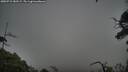 ./images/calvert/fitz-hugh-hecate/20250723/fitz-hugh-hecate20250723_185508M.jpg