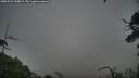 ./images/calvert/fitz-hugh-hecate/20250723/fitz-hugh-hecate20250723_190008M.jpg