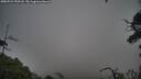 ./images/calvert/fitz-hugh-hecate/20250723/fitz-hugh-hecate20250723_190508M.jpg