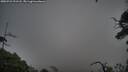 ./images/calvert/fitz-hugh-hecate/20250723/fitz-hugh-hecate20250723_191508M.jpg