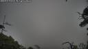 ./images/calvert/fitz-hugh-hecate/20250723/fitz-hugh-hecate20250723_192508M.jpg