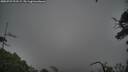 ./images/calvert/fitz-hugh-hecate/20250723/fitz-hugh-hecate20250723_193508M.jpg