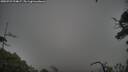 ./images/calvert/fitz-hugh-hecate/20250723/fitz-hugh-hecate20250723_194007M.jpg