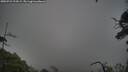 ./images/calvert/fitz-hugh-hecate/20250723/fitz-hugh-hecate20250723_194509M.jpg