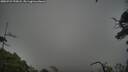 ./images/calvert/fitz-hugh-hecate/20250723/fitz-hugh-hecate20250723_195008M.jpg
