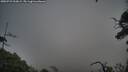./images/calvert/fitz-hugh-hecate/20250723/fitz-hugh-hecate20250723_200009M.jpg