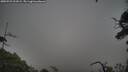 ./images/calvert/fitz-hugh-hecate/20250723/fitz-hugh-hecate20250723_201008M.jpg