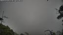 ./images/calvert/fitz-hugh-hecate/20250723/fitz-hugh-hecate20250723_202507M.jpg