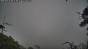 ./images/calvert/fitz-hugh-hecate/20250723/fitz-hugh-hecate20250723_203008M.jpg
