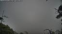 ./images/calvert/fitz-hugh-hecate/20250723/fitz-hugh-hecate20250723_205007M.jpg