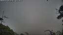 ./images/calvert/fitz-hugh-hecate/20250723/fitz-hugh-hecate20250723_205508M.jpg