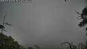 ./images/calvert/fitz-hugh-hecate/20250723/fitz-hugh-hecate20250723_211509M.jpg