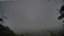 ./images/calvert/fitz-hugh-hecate/20250723/fitz-hugh-hecate20250723_215507M.jpg