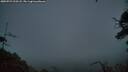 ./images/calvert/fitz-hugh-hecate/20250723/fitz-hugh-hecate20250723_220508M.jpg