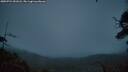 ./images/calvert/fitz-hugh-hecate/20250724/fitz-hugh-hecate20250724_051008M.jpg